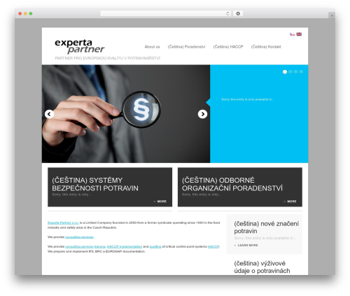 Best WordPress theme WordPress Theme 1372 - expa.cz