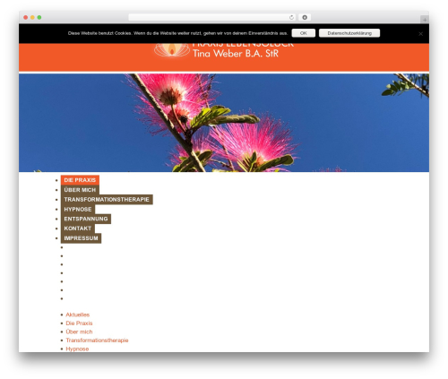 Divi theme WordPress - tina-weber.com