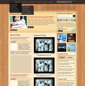 Spinny lite WordPress theme Spinny lite WordPress theme