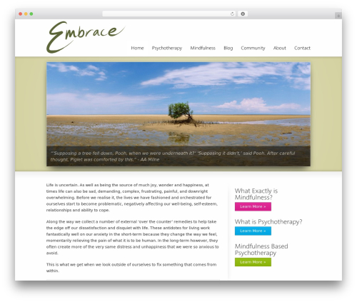 Striking MultiFlex & Ecommerce Responsive WordPress Theme WordPress shop theme - embracemindfulness.co.uk