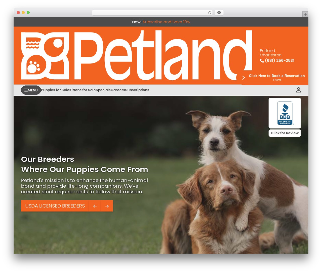 Theme WordPress PEP - petlandcharleston.com Theme WordPress PEP - petlandcharleston.com