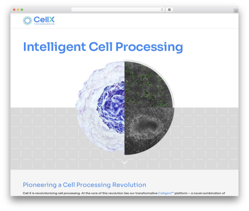 WordPress theme CellX - thatsnice-testing5.com
