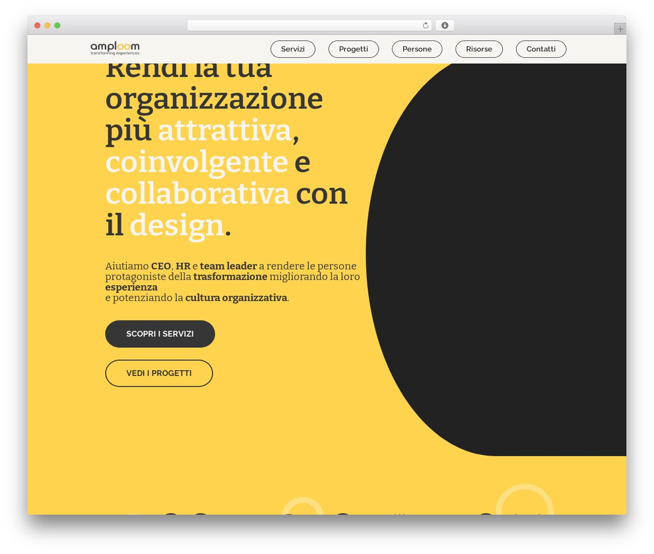 WordPress theme Divi - amploom.com