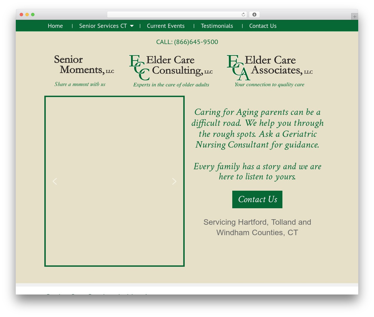 WordPress theme Elder Care Theme - eldercareconsultingllc.com