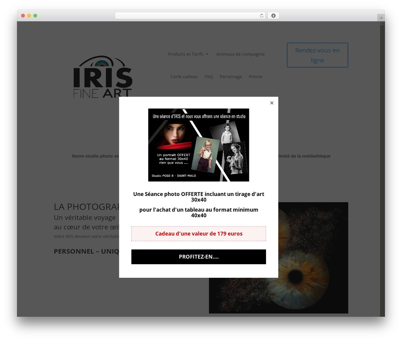 WordPress theme Divi - iris-fineart.com WordPress theme Divi - iris-fineart.com