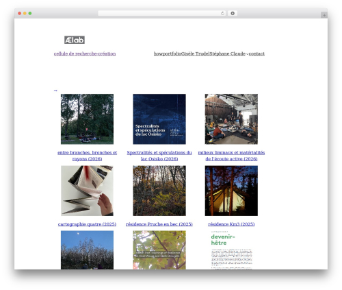 WordPress theme indice - aelab.com