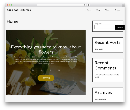 Writee WordPress website theme - guiadosperfumes.com