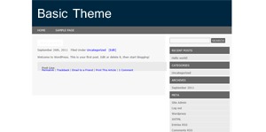 Basic WordPress website theme by Massomeh