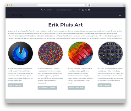 Social feed by arrowplugins premium 1.1 WordPress plugin - erikpluisart.com