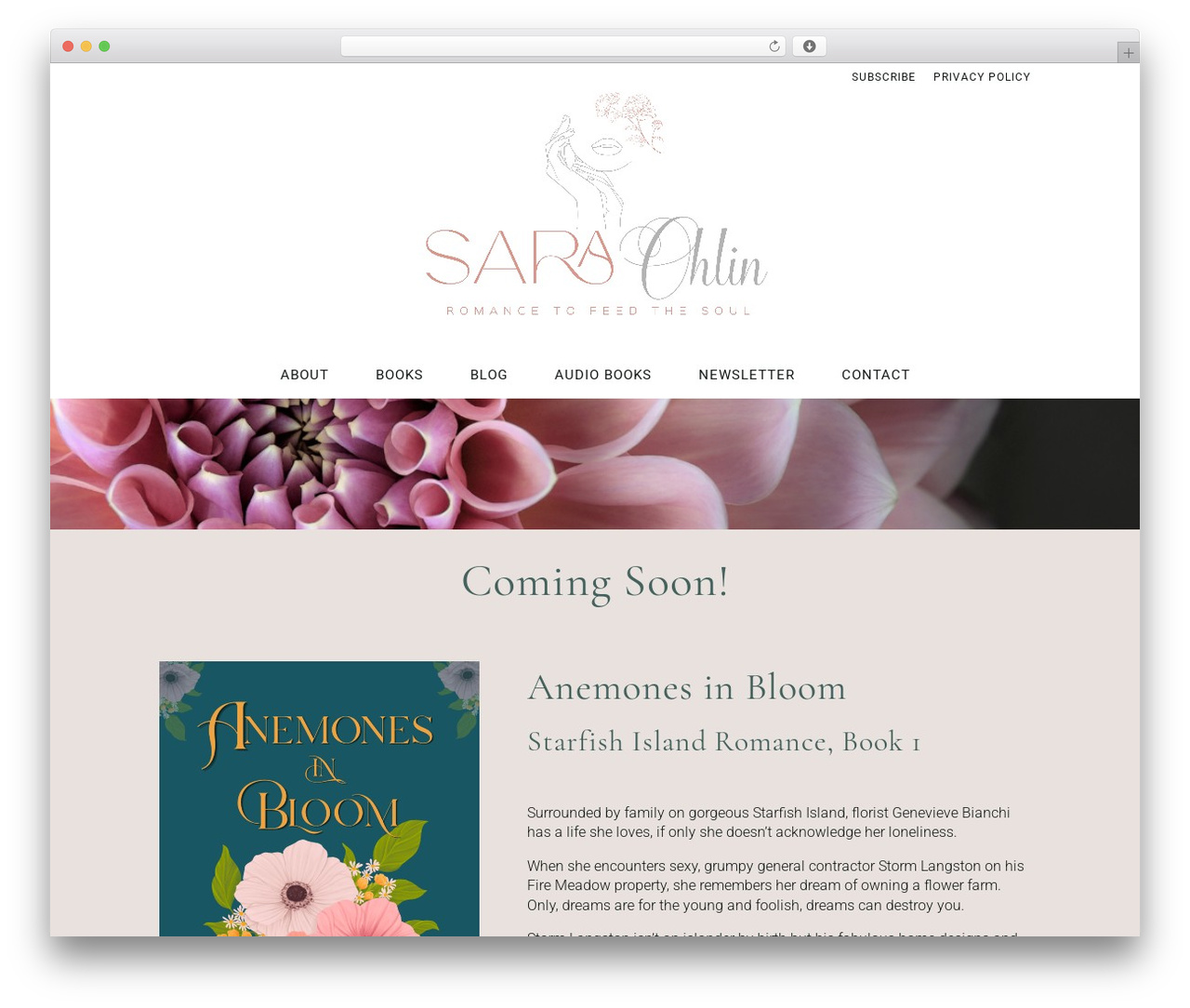 Divi WordPress theme - saraohlin.com