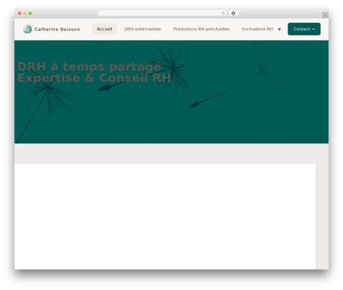 Hello Elementor top WordPress theme - catherinebuissonrh.fr