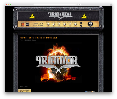 Carousel free video gallery WordPress plugin - tributor.nl