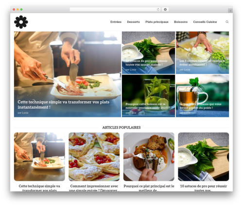 Toolinks posts WordPress plugin - guide-des-saveurs.com