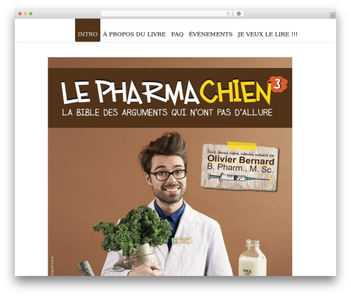 WordPress theme Disillusion Responsive Wordpress Theme - arguments.lepharmachien.com