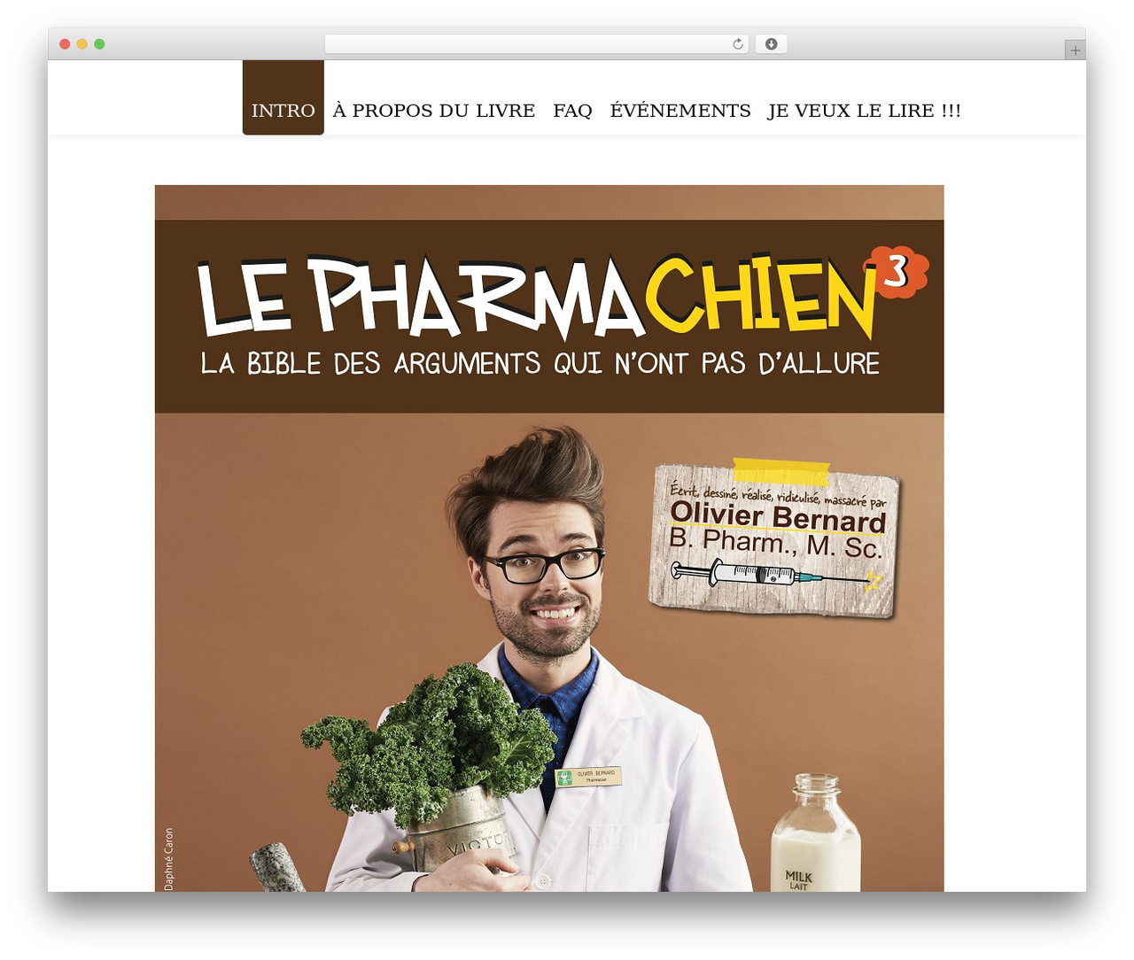WordPress theme Disillusion Responsive Wordpress Theme - arguments.lepharmachien.com