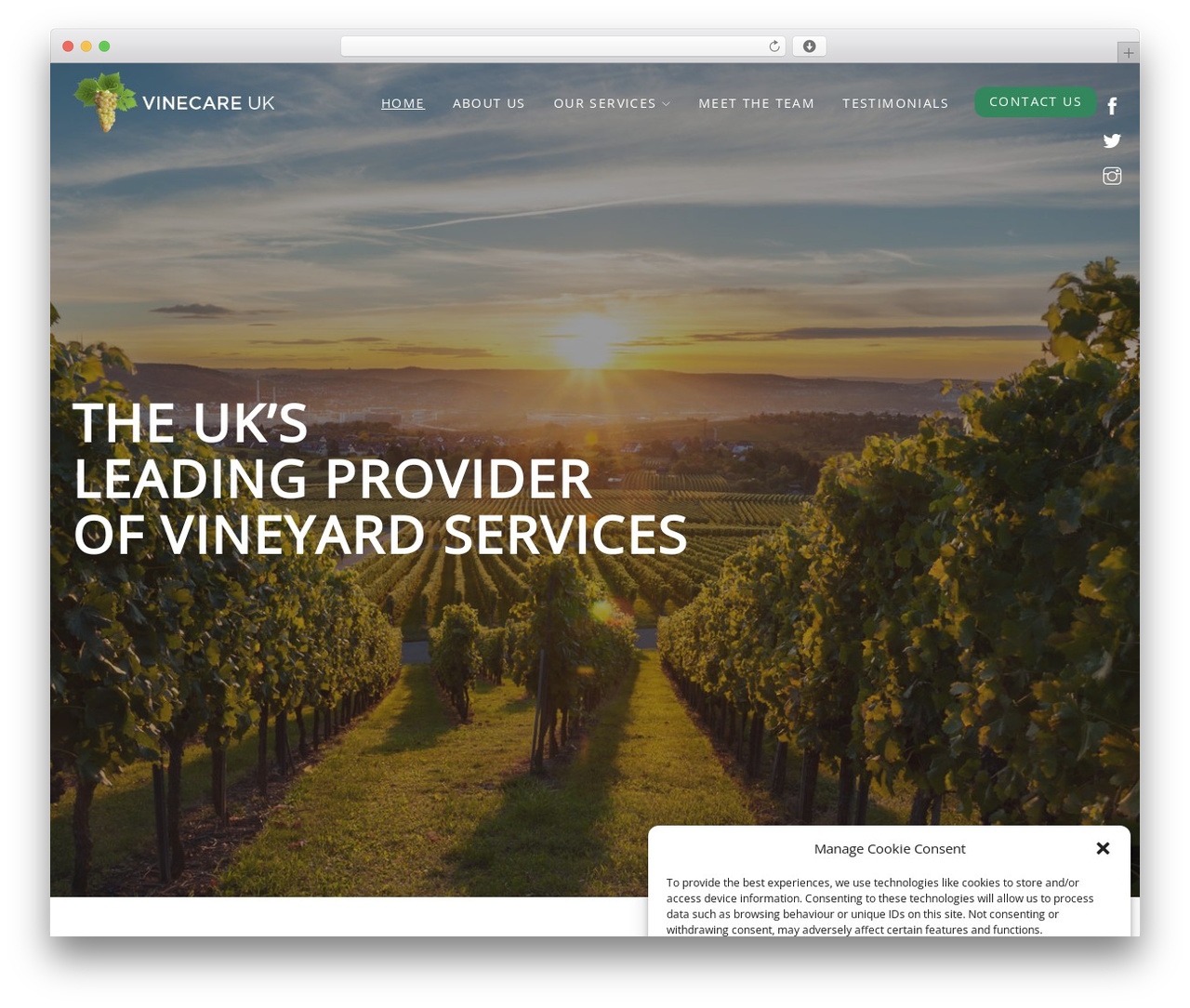 WordPress theme Moocow Media - vinecareuk.com WordPress theme Moocow Media - vinecareuk.com