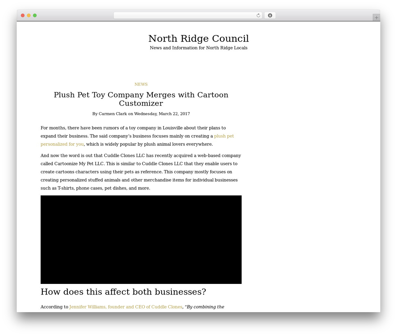 Writee WordPress news theme - northridgecouncil.org