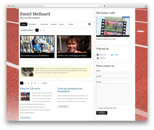 Sexybookmarks WordPress plugin - emielmellaard.nl
