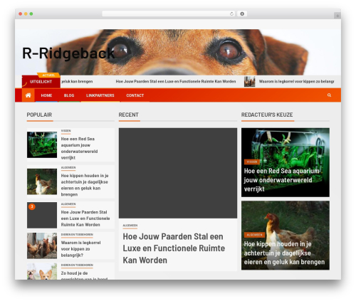 Magever WordPress theme - r-ridgeback.nl Magever WordPress theme - r-ridgeback.nl