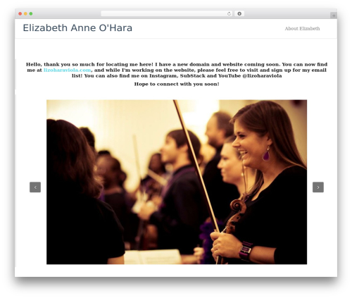 Themeum project WordPress plugin - elizabethanneohara.com