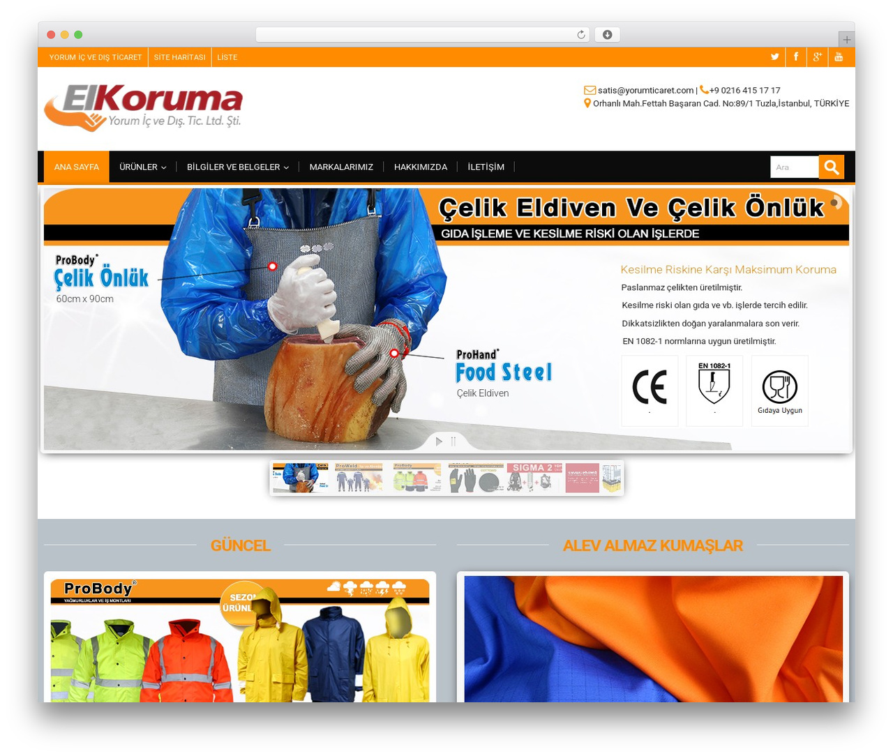 Theme WordPress alterna - elkoruma.com.tr