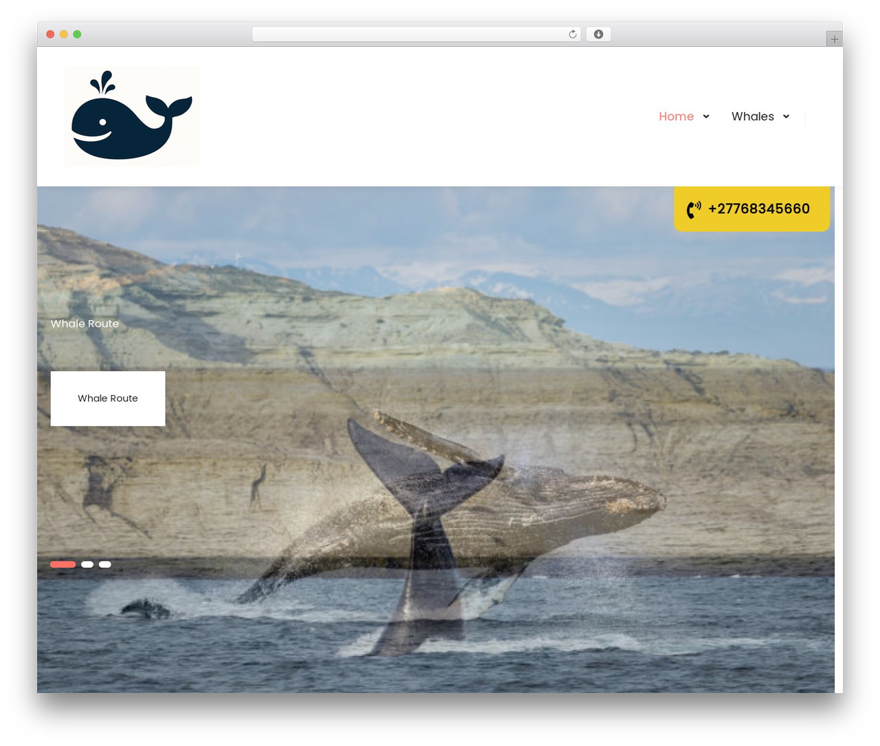 Theme WordPress Complete - whaleroute.com