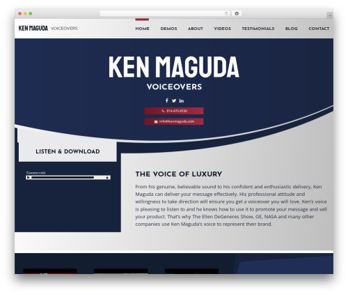 Simple stats WordPress plugin - kenmaguda.com
