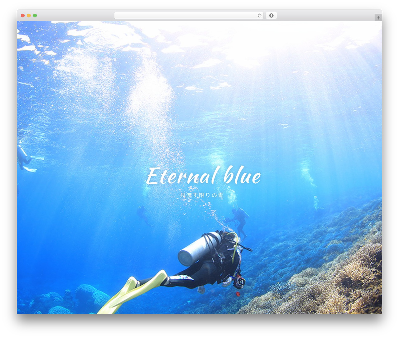 WordPress theme custom - hokulea-shonan.com