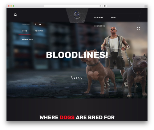 Playerx core WordPress plugin - 4headzgamez.com