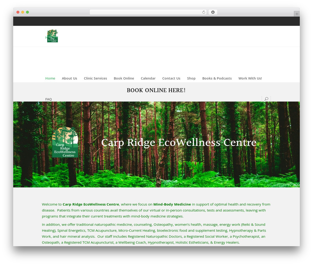 WordPress website theme Wellspring - ecowellness.com
