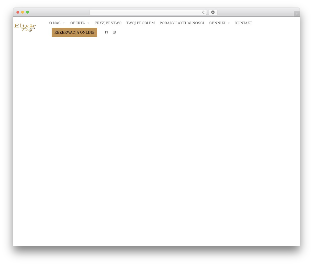 WP theme Elixir - elixirdayspa.pl