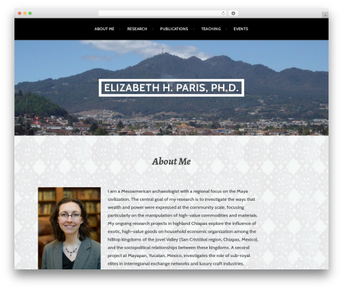 Gallery video WordPress plugin - elizabethhparis.com