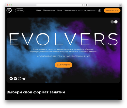 Input masks for contact form 7 WordPress plugin - evolvers.ru