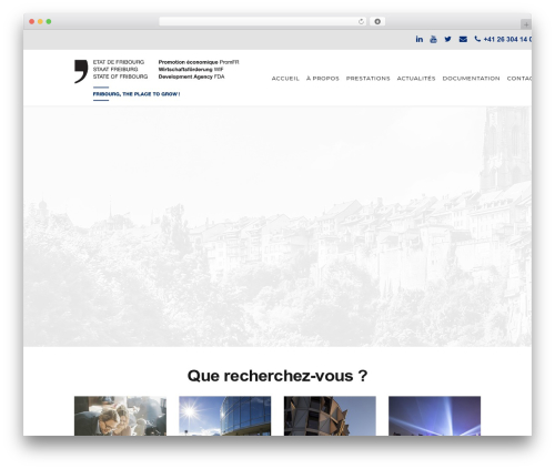 Hoshi WordPress theme - promfr.ch