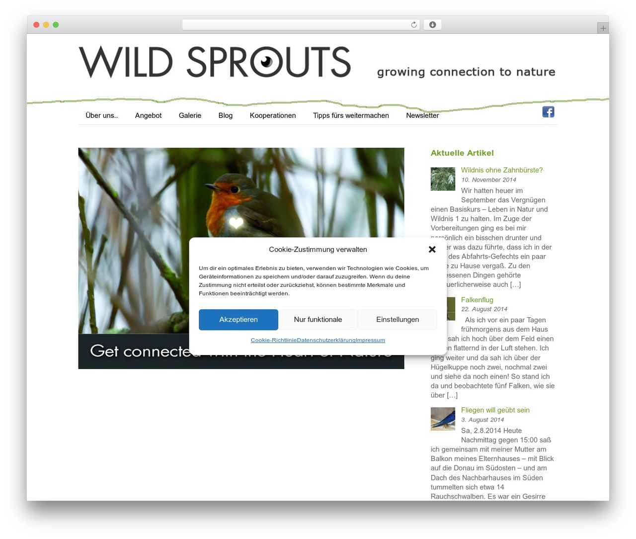 WordPress theme Themify Basic - wildsprouts.at WordPress theme Themify Basic - wildsprouts.at