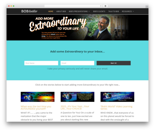 Wp mailinglist WordPress plugin - extraordinarybob.com