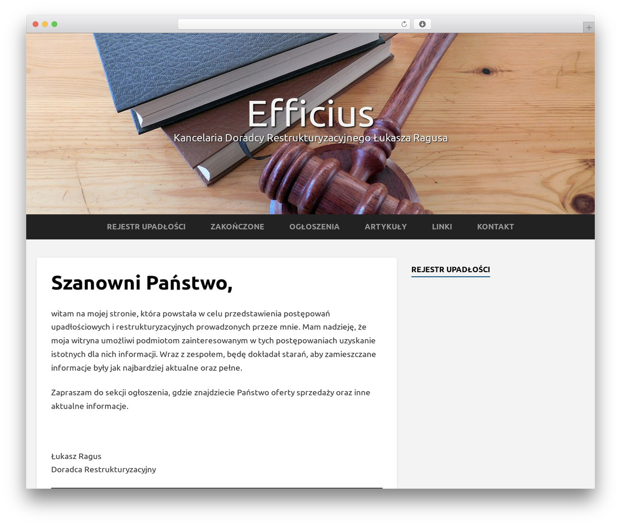 Griffin theme WordPress - efficius.pl Griffin theme WordPress - efficius.pl