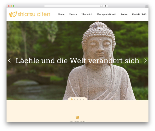 Keyword Rank Tracker (serp-rank) free WordPress plugin - shiatsu-olten.ch