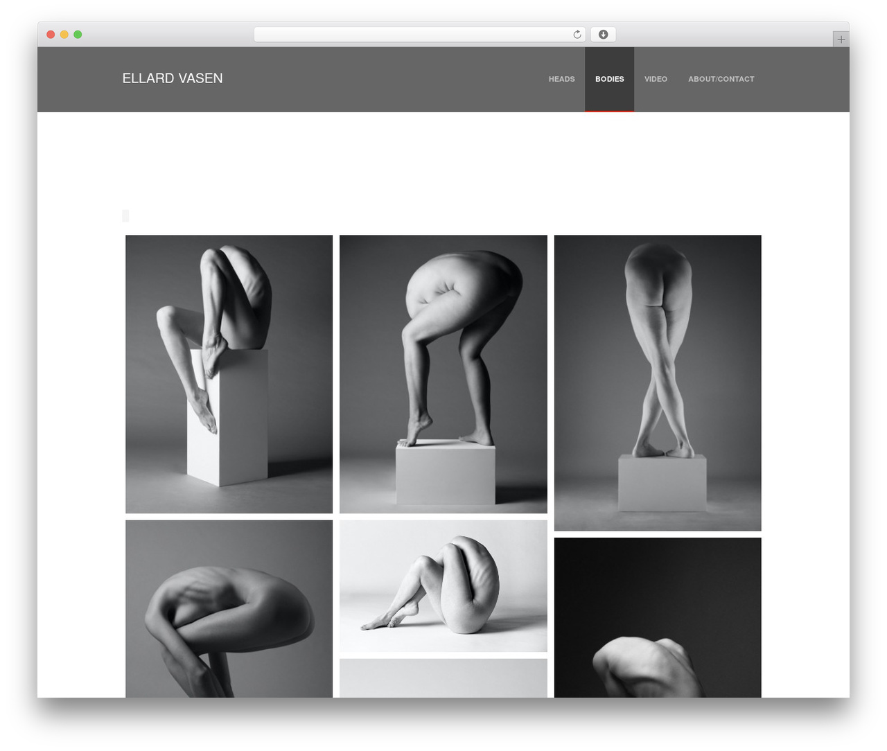 Supernova - Multi-Purpose Theme theme WordPress - ellardvasen.nl