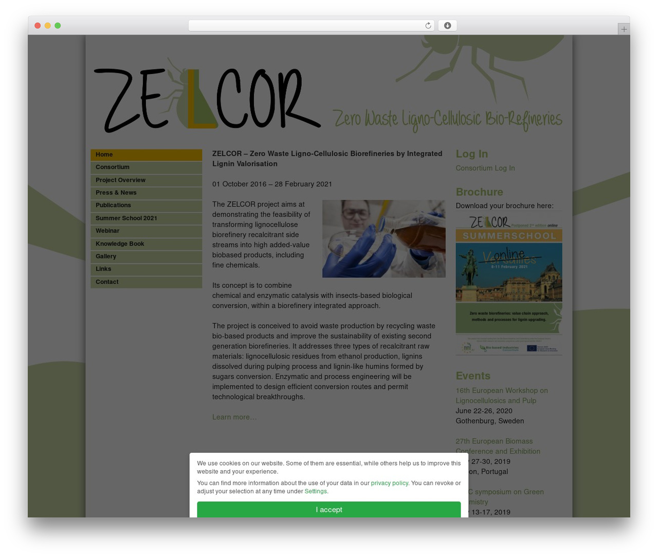 WordPress theme Skeleton - zelcor.eu