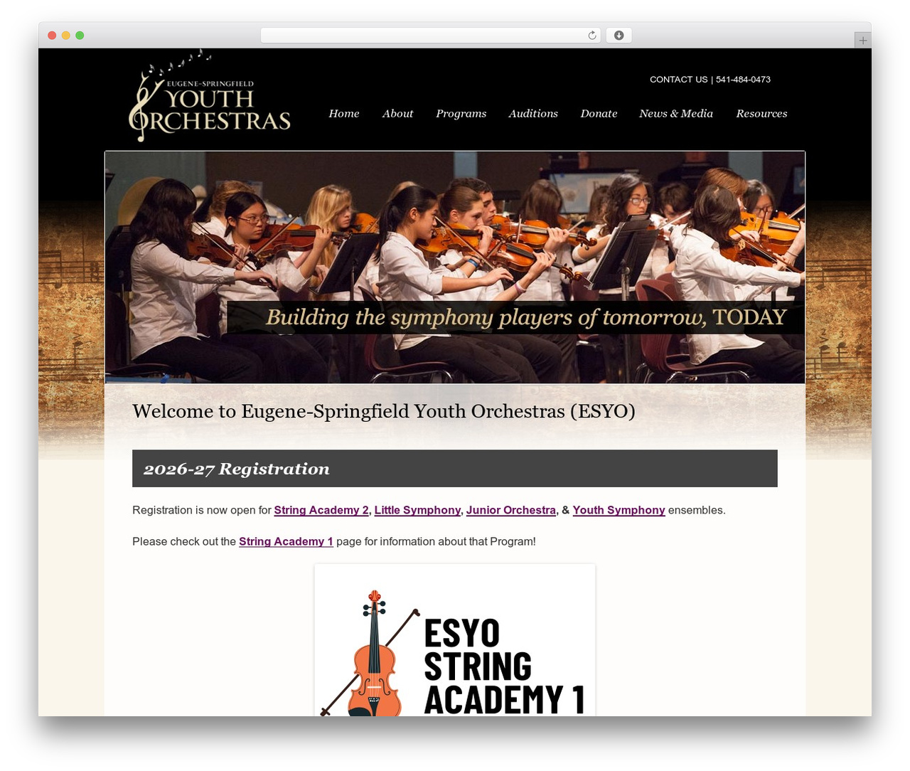 EYSO WordPress theme - esyorchestras.org