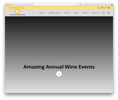 Wp hummingbird WordPress plugin - oliverosoyoos.com