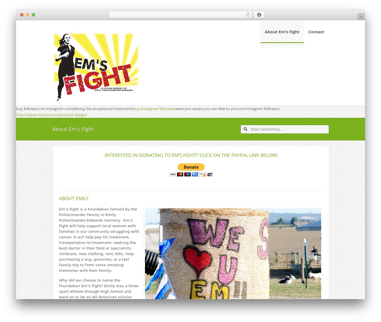 LioFolio theme WordPress - emsfight.org LioFolio theme WordPress - emsfight.org