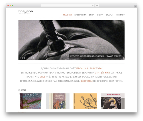 Purity WordPress theme - esaulov.net