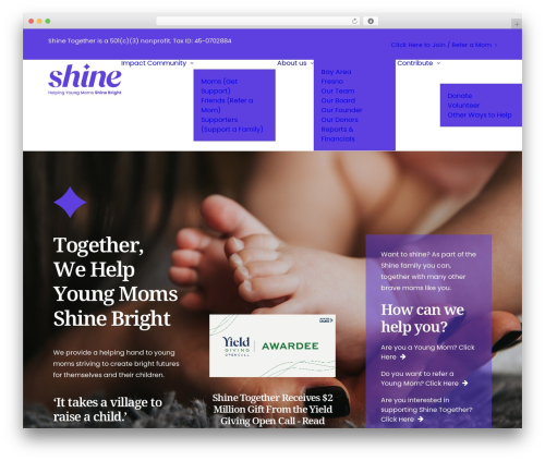 Visual composer kit WordPress plugin - shinetogether.org