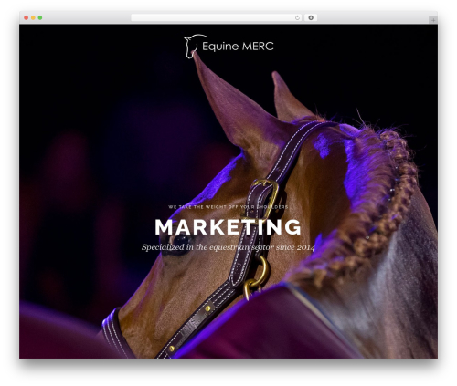 willow WordPress theme - equinemerc.nl