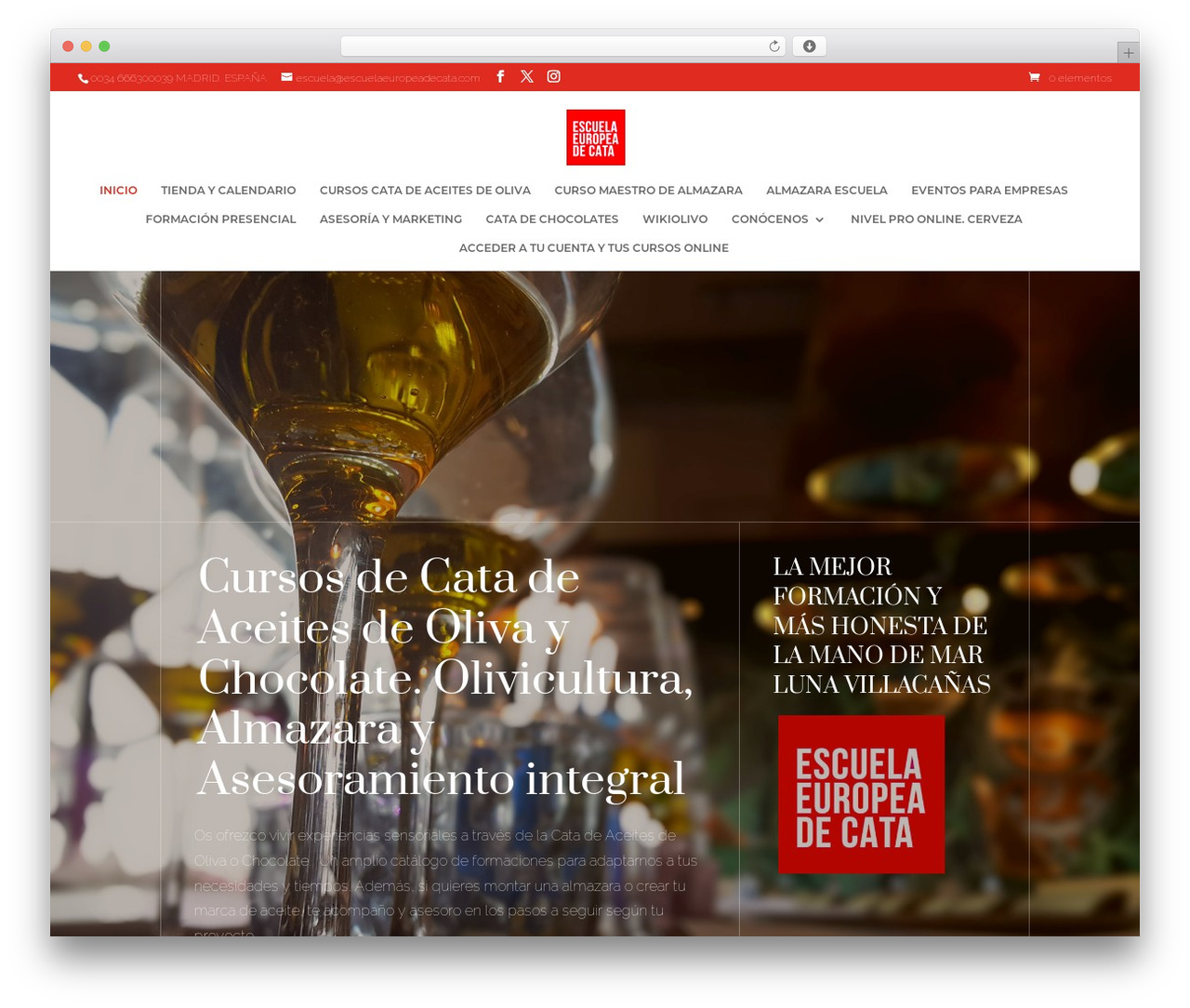 WordPress theme Divi - escuelaeuropeadecata.com