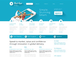 WordPress theme theme47009 WordPress theme theme47009