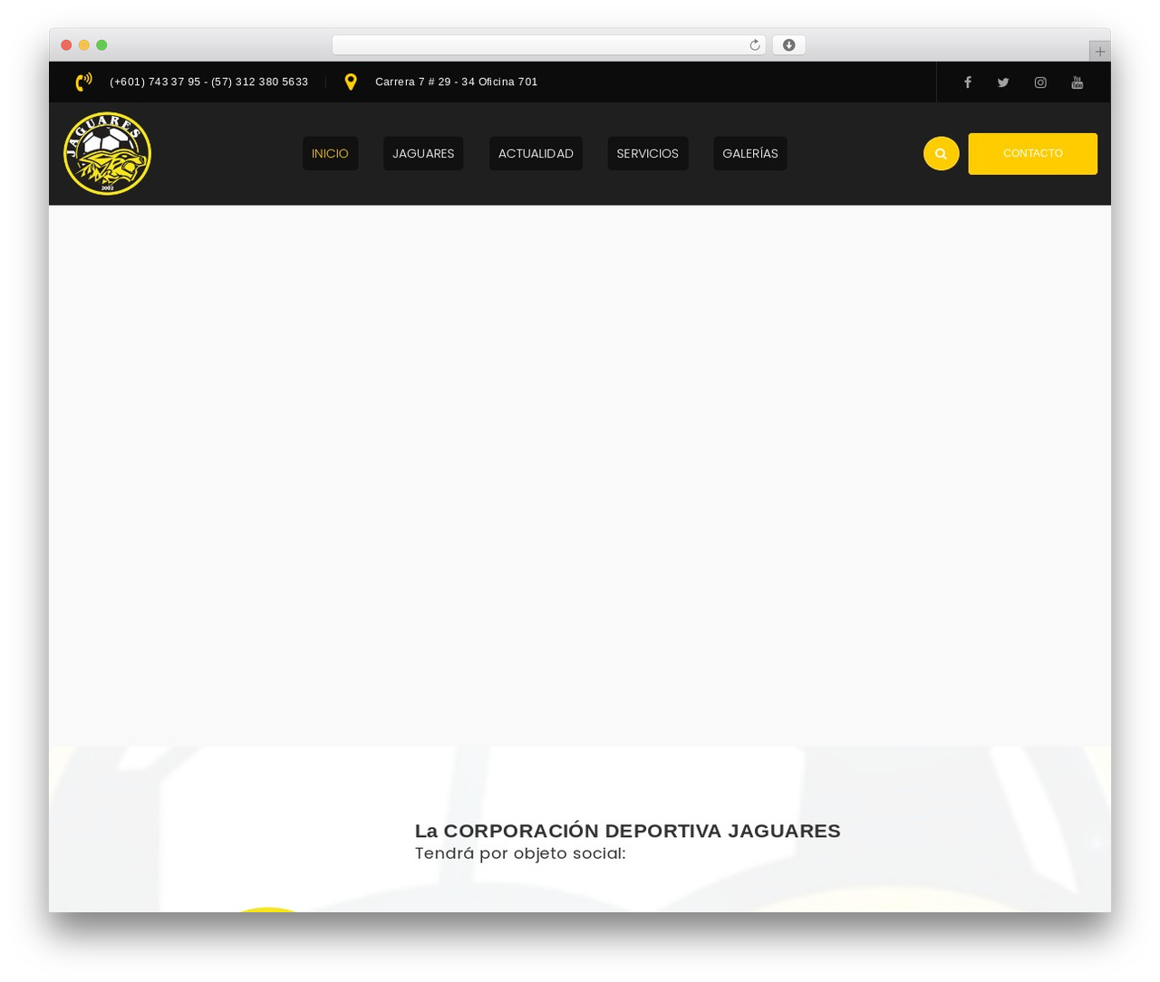 WordPress website theme G5Plus Ruby Build - jaguaresfutbol.com