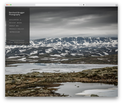 Like This (roses-like-this) free WordPress plugin - bernhardbrugger.com